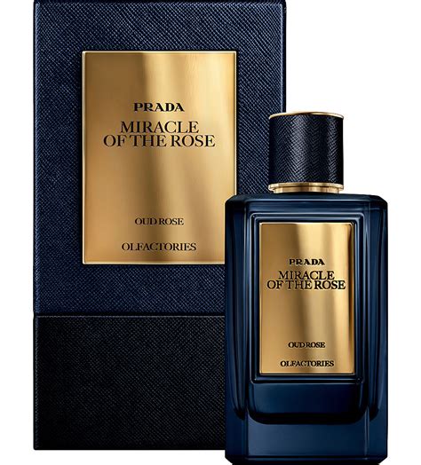 prada miracle of the rose